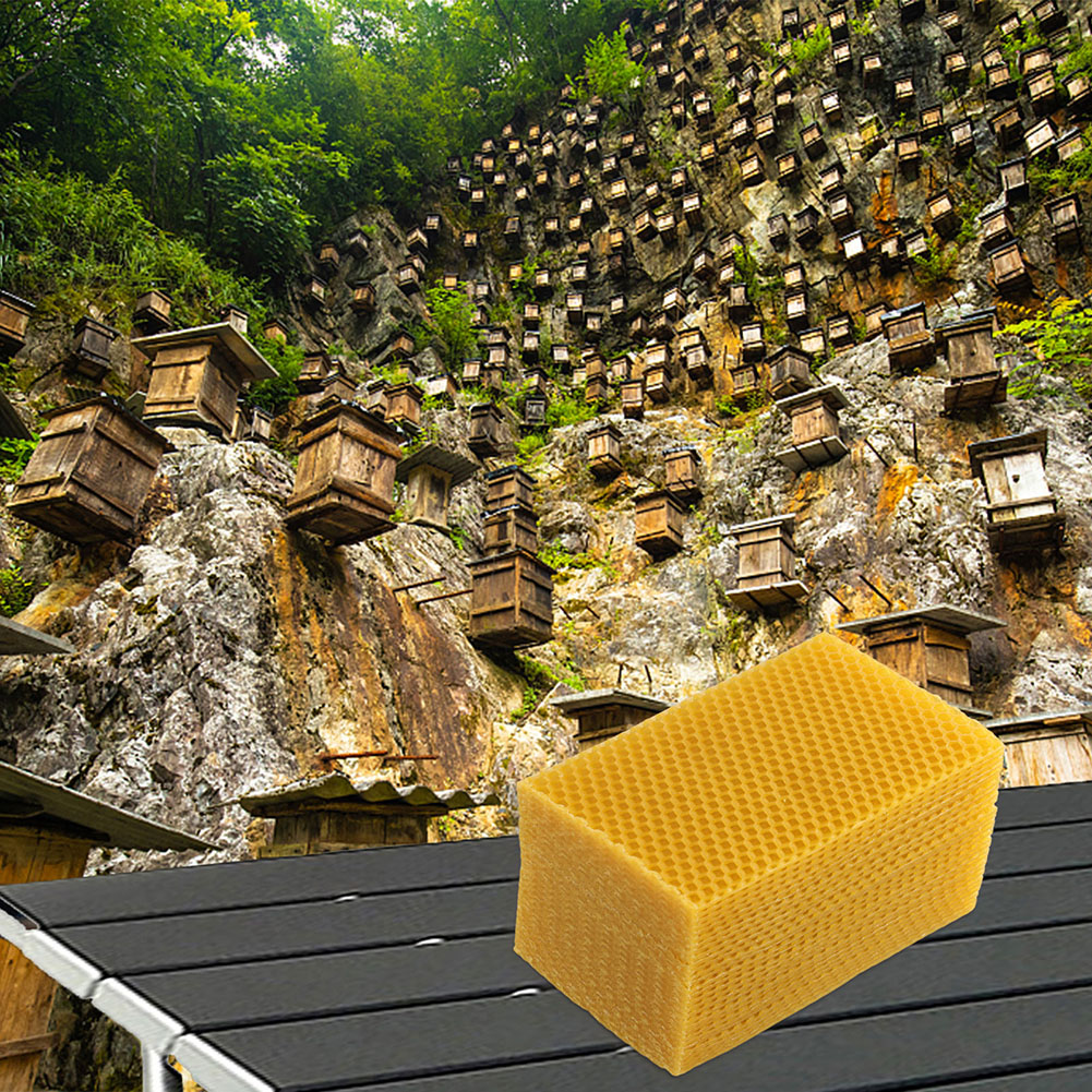 30Pcs ขี้ผึ้งธรรมชาติแผ่น Beeh - Beeswax Sheet Roll บทวิจารณ์และราคา